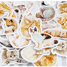 Load image into Gallery viewer, Cat Stickers